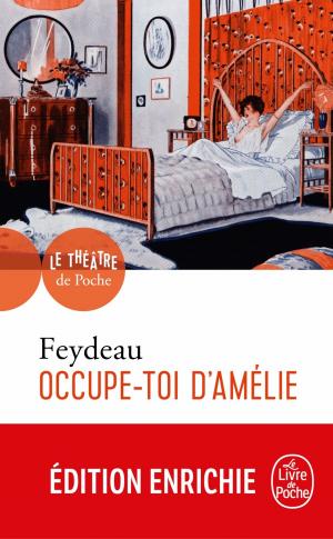 Cover of the book Occupe-toi d'Amélie by Irvin Yalom