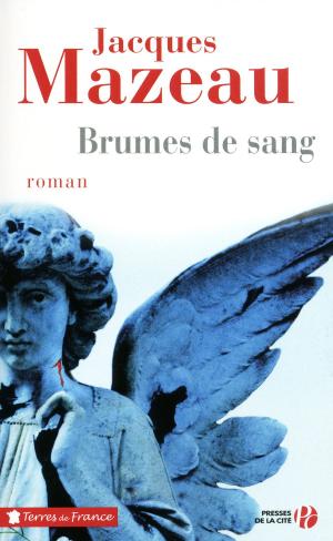 Cover of the book Brumes de sang by Harlan COBEN