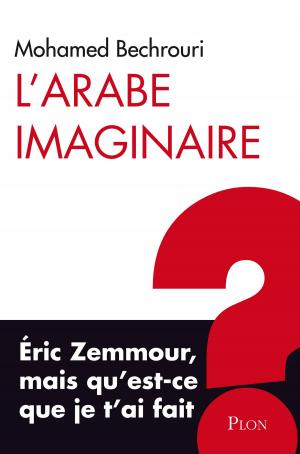 Cover of the book L'arabe imaginaire by Chantal JANISSON