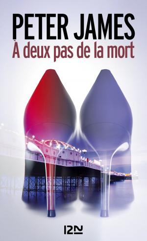 Cover of the book À deux pas de la mort by Agathe COLOMBIER HOCHBERG