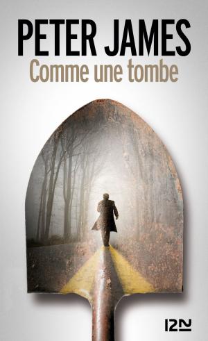 Cover of the book Comme une tombe by Ann GRANGER