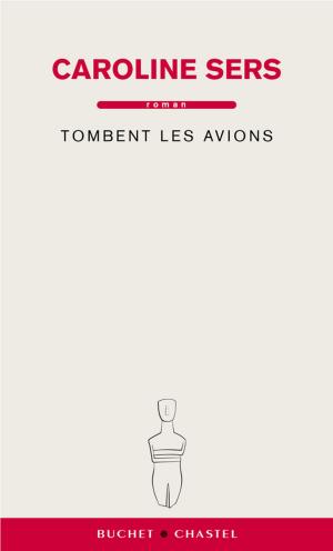Cover of the book Tombent les avions by Françoise Vielzeuf