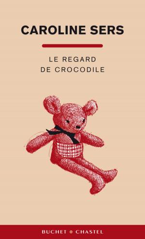 Cover of the book Le regard de crocodile by Anna Meryt