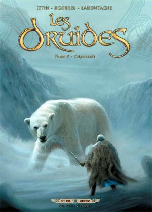 Cover of the book Les Druides T06 by Eric Corbeyran, Ludo Lullabi