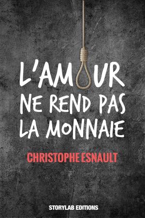 Cover of the book L'amour ne rend pas la monnaie by Jean-Bernard Pouy