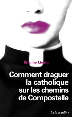 Book cover of Comment draguer la catholique sur les chemins de Compostelle