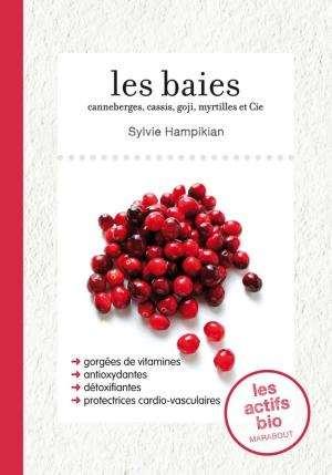Cover of the book Les baies by Clare Mackintosh