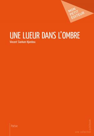 Cover of the book Une lueur dans l'ombre by Marie-Hélène Porri