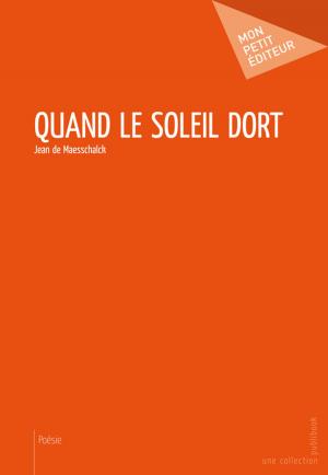 Cover of the book Quand le soleil dort by Jacques de Boissezon