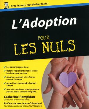 Cover of the book Adoption Pour les nuls (L') by Stéphane PILET