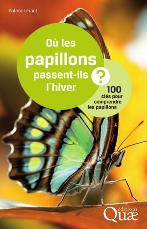 Cover of the book Où les papillons passent-ils l'hiver ? by Michel Sebillotte