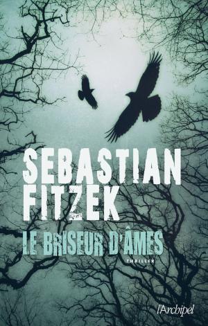 Cover of the book Le Briseur D'âmes by Daniel Ichbiah