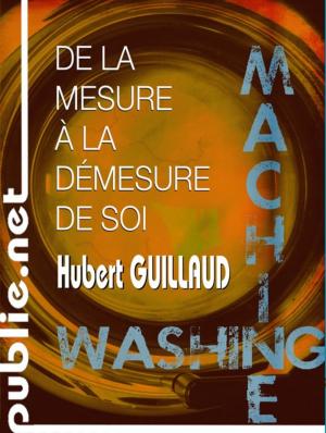 Cover of the book De la mesure à la démesure de soi by Alastair R Agutter