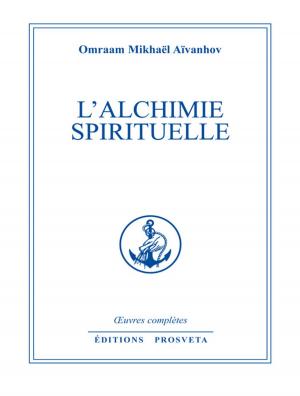 Cover of the book L'alchimie spirituelle by Lynn R Davis