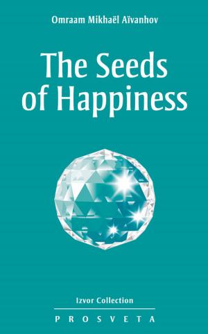 Cover of the book The seeds of Happiness by Georg Feuerstein