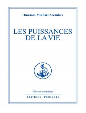 Cover of the book Les puissances de la vie by Justin Southworth