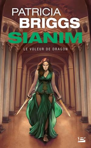 Cover of the book Le Voleur de dragon by Trudi Canavan