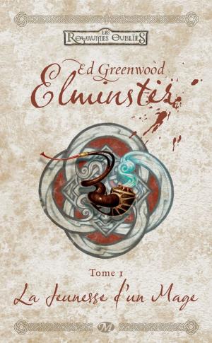 Cover of the book La Jeunesse d'un mage: Elminster, T1 by Simon Sanahujas