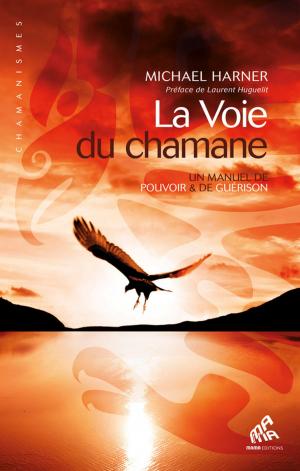 Cover of the book La Voie du chamane by Agnès Stevenin