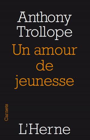 Cover of the book Un amour de jeunesse by Anthony Trollope