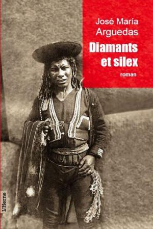 Cover of the book Diamants et silex by Baruch Spinoza