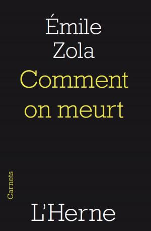 Cover of the book Comment on meurt by Honoré de Balzac