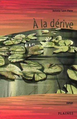 Cover of the book À la dérive by David Bouchard, Jana Mashonee