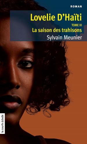 Cover of the book La saison des trahisons by Elise Gravel