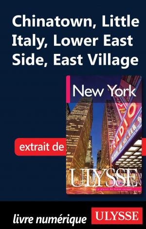 Book cover of Chinatown, Little Italy, Lower East Side, East Village
