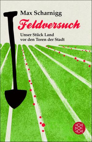 Cover of the book Feldversuch by Roger Willemsen