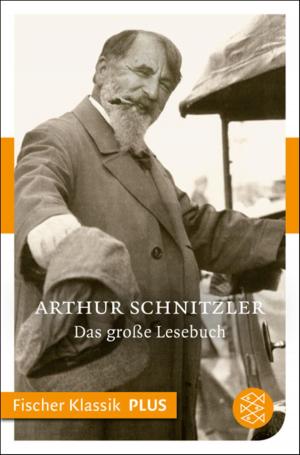 Cover of the book Das große Lesebuch by Peter Stamm