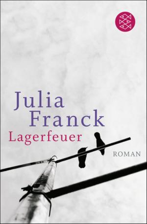 Book cover of Lagerfeuer