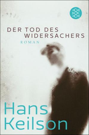 Cover of the book Der Tod des Widersachers by Christoph Ransmayr