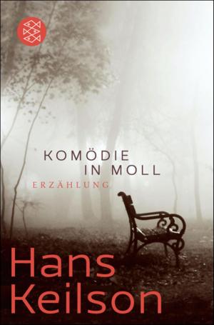 Book cover of Komödie in Moll