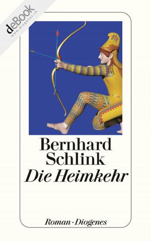 Cover of the book Die Heimkehr by Doris Dörrie