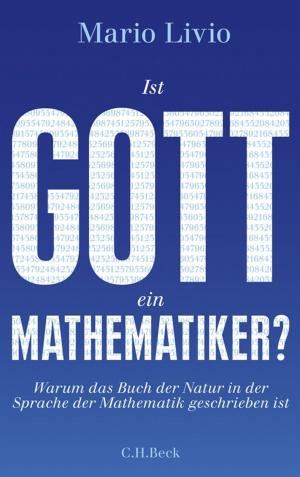Cover of the book Ist Gott ein Mathematiker? by Otfried Höffe