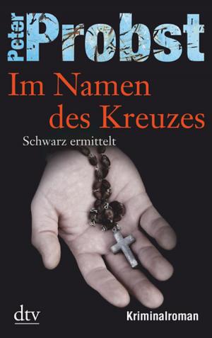 Book cover of Im Namen des Kreuzes