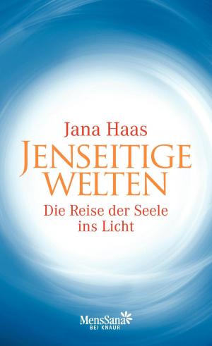 Cover of the book Jenseitige Welten by Sandra Lessmann