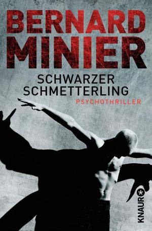 Cover of the book Schwarzer Schmetterling by Petra Pinzler, Günther Wessel