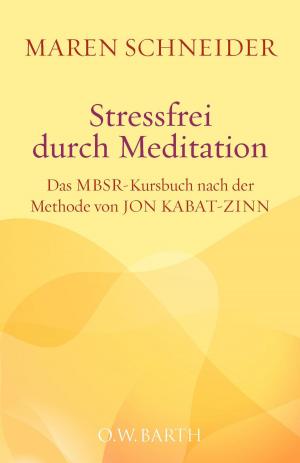 Book cover of Stressfrei durch Meditation