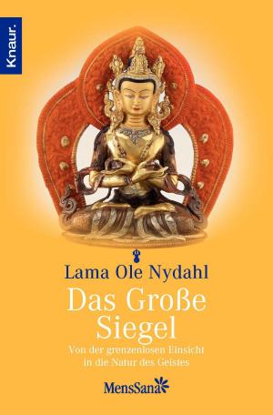 Cover of the book Das große Siegel by Hamed Abdel-Samad