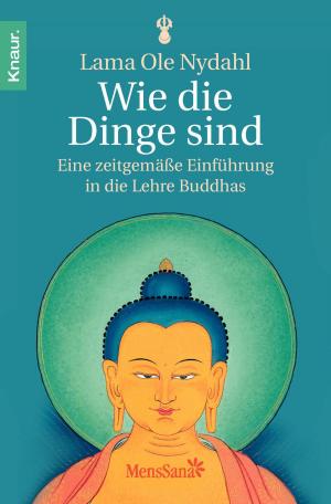 Cover of the book Wie die Dinge sind by Concetta Bertoldi