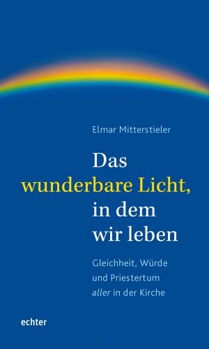 Book cover of Das wunderbare Licht, in dem wir leben