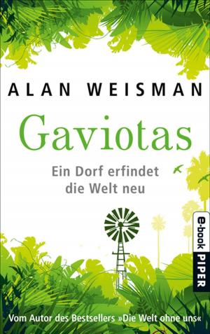 Book cover of Gaviotas