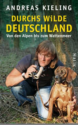 Book cover of Durchs wilde Deutschland