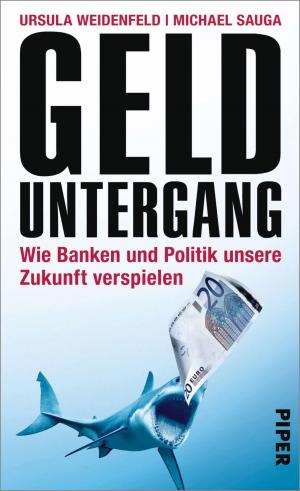 Cover of the book Gelduntergang by Birgit Vanderbeke