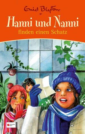 Book cover of Hanni und Nanni finden einen Schatz