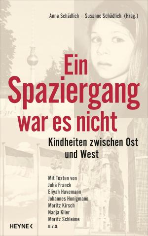 Cover of the book Ein Spaziergang war es nicht by Tina Wolf