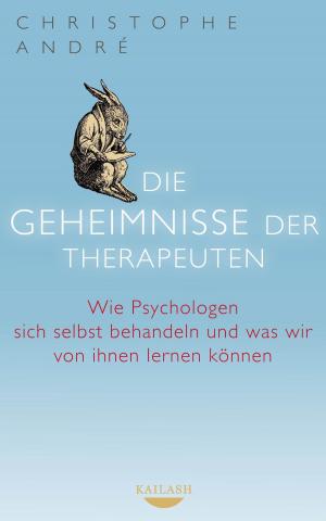 Cover of the book Die Geheimnisse der Therapeuten by Percy Shakti Johannsen