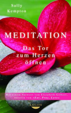 Book cover of Meditation